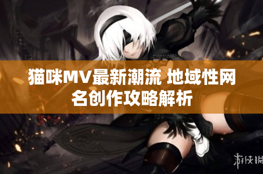 猫咪MV最新潮流 地域性网名创作攻略解析