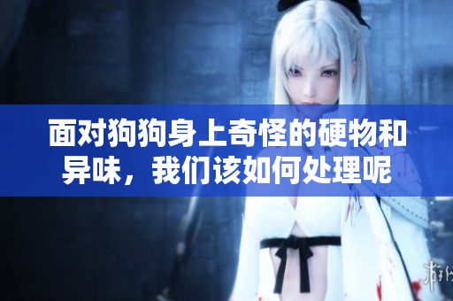 面对狗狗身上奇怪的硬物和异味，我们该如何处理呢