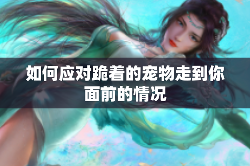 如何应对跪着的宠物走到你面前的情况