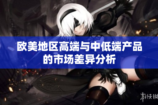 欧美地区高端与中低端产品的市场差异分析