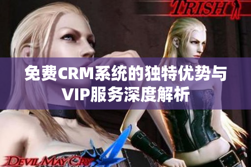 免费CRM系统的独特优势与VIP服务深度解析