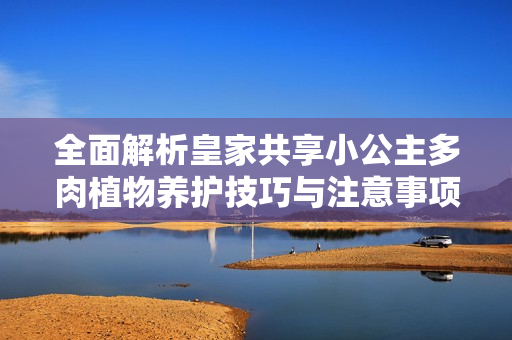 全面解析皇家共享小公主多肉植物养护技巧与注意事项