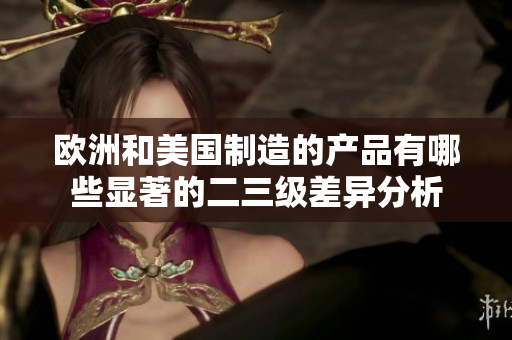 欧洲和美国制造的产品有哪些显著的二三级差异分析